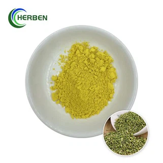 ผงรูติน